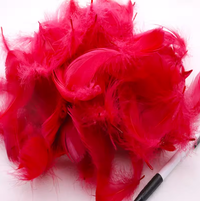 Florette Dyed Feathers